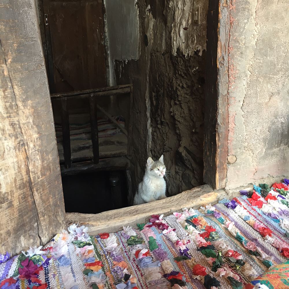 17240607_10101985791010904_5850705405448964497_o