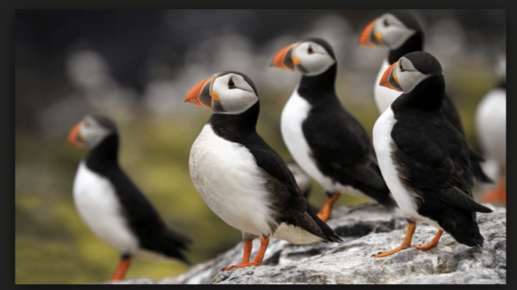 Screen Shot 2016-10-20 at 5.11.26 PM.png