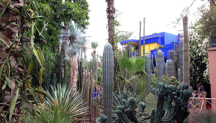 Screen Shot 2016-10-24 at 3.41.05 PM.png