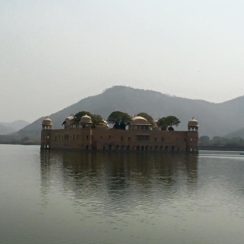 12795469_10101494171884574_3388776347407445073_n