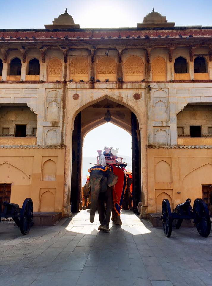 12801371_10102041195040868_7210651274478635259_n