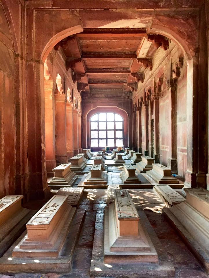 12814718_10102042048530468_2905536488148600898_n