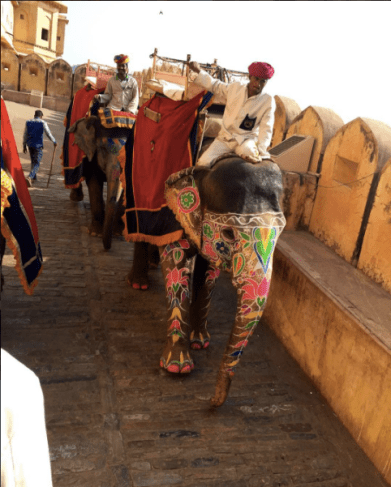 Screen Shot 2017-04-04 at 9.20.39 PM