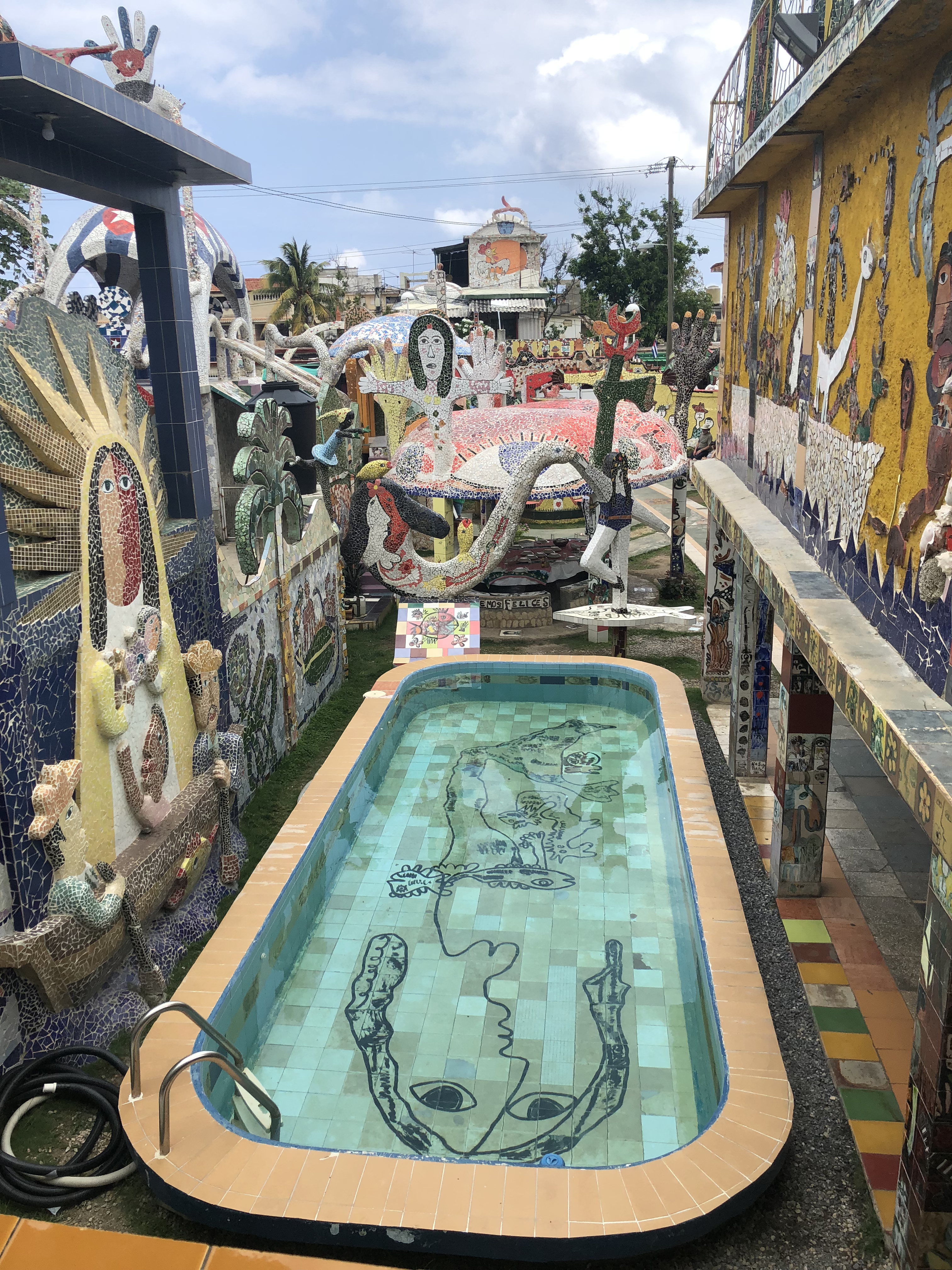 Photo May 07, 11 56 14 AM.jpg